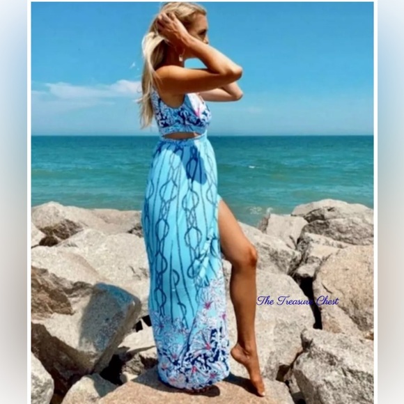 Lilly Pulitzer Dresses & Skirts - Lilly Pulitzer Marcia Maxi Dress 🦄 Aqua A Frayed Knot Size 2